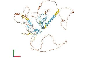 AlphaFold protein structure predicition of Mouse Recombinant Glis2 Protein, UniprotID Q8VDL9