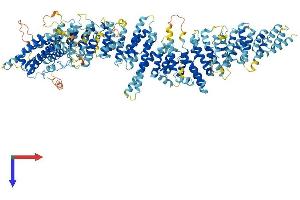 MMS22-Like, DNA Repair Protein (MMS22L) (AA 1-1243) protein (His tag)