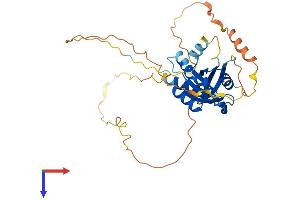 AlphaFold protein structure predicition of Mouse Recombinant Rem2 Protein, UniprotID Q8VEL9