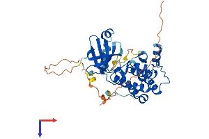 AlphaFold protein structure predicition of Human Recombinant AURKB Protein, UniprotID Q96GD4