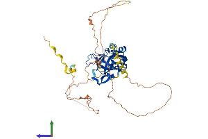 AlphaFold protein structure predicition of Mouse Recombinant Tbx20 Protein, UniprotID Q9ES03