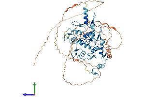 AlphaFold protein structure predicition of Human Recombinant ZNF768 Protein, UniprotID Q9H5H4