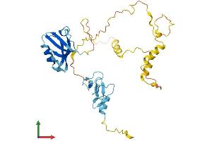 AlphaFold protein structure predicition of Mouse Recombinant Pdlim3 Protein, UniprotID O70209