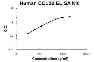 Human CCL28 PicoKine ELISA Kit standard curve