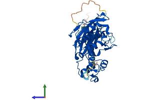 AlphaFold protein structure predicition of Human Recombinant AASDHPPT Protein, UniprotID Q9NRN7