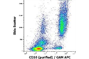 Flow cytometry surface staining pattern of human peripheral whole blood stained using anti-human CD16 (3G8) purified antibody (concentration in sample 2 μg/mL, GAM APC). (CD16 anticorps)