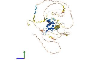 AlphaFold protein structure predicition of Mouse Recombinant Foxd1 Protein, UniprotID Q61345