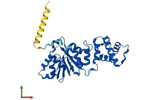 AlphaFold protein structure predicition of Mouse Recombinant Dimt1 Protein, UniprotID Q9D0D4