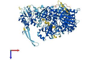 AlphaFold protein structure predicition of Human Recombinant DIS3 Protein, UniprotID Q9Y2L1