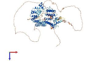 AlphaFold protein structure predicition of Mouse Recombinant Trappc12 Protein, UniprotID Q8K2L8