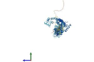 AlphaFold protein structure predicition of Mouse Recombinant Actn3 Protein, UniprotID O88990