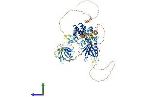 AlphaFold protein structure predicition of Human Recombinant FGD3 Protein, UniprotID Q5JSP0