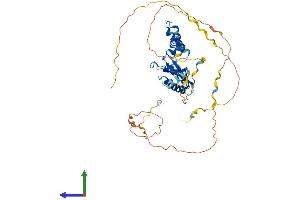AlphaFold protein structure predicition of Human Recombinant KHDRBS1 Protein, UniprotID Q07666