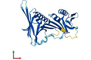 AlphaFold protein structure predicition of Human Recombinant HUS1B Protein, UniprotID Q8NHY5