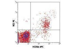 Flow Cytometry (FACS) image for anti-Natural Cytotoxicity Triggering Receptor 1 (NCR1) antibody (PE) (ABIN2663378) (NCR1 anticorps  (PE))