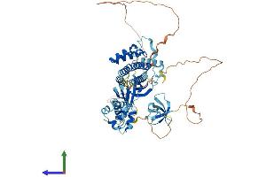 AlphaFold protein structure predicition of Mouse Recombinant Eps8l3 Protein, UniprotID Q91WL0