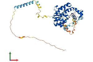 AlphaFold protein structure predicition of Human Recombinant UST Protein, UniprotID Q9Y2C2