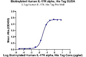 Immobilized Human IL-17A, His Tag at 2 μg/mL (100 μL/well) on the plate.