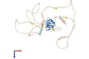 AlphaFold protein structure predicition of Mouse Recombinant Etv3 Protein, UniprotID Q8R4Z4