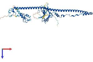 AlphaFold protein structure predicition of Human Recombinant TRIM35 Protein, UniprotID Q9UPQ4
