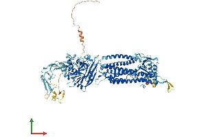 AlphaFold protein structure predicition of Mouse Recombinant Tmem67 Protein, UniprotID Q8BR76