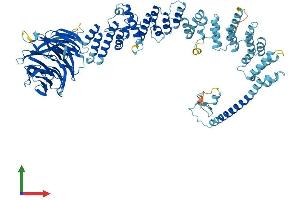AlphaFold protein structure predicition of Human Recombinant TGFBRAP1 Protein, UniprotID Q8WUH2