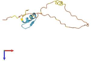 AlphaFold protein structure predicition of Human Recombinant ZNF861P Protein, UniprotID O60384