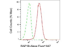 Flow cytometric analysis of RAP1B expression in HepG2 cells using RAP1B antibody (ABIN7800134), 1:2,000). (Recombinant RAP1B anticorps)