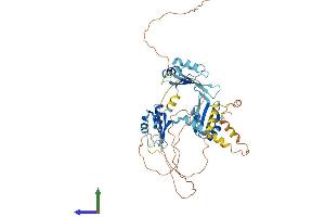 AlphaFold protein structure predicition of Mouse Recombinant Celf2 Protein, UniprotID Q9Z0H4