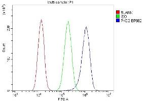 Flow Cytometry analysis of A549 cells using anti-PKD2 antibody (ABIN7602539). (PKD2 anticorps  (AA 829-893))