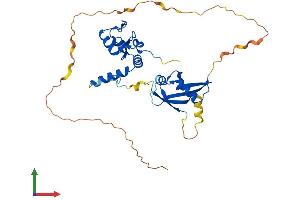 AlphaFold protein structure predicition of Mouse Recombinant Pcgf2 Protein, UniprotID P23798