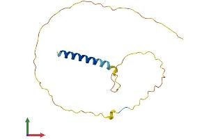 AlphaFold protein structure predicition of Human Recombinant CEND1 Protein, UniprotID Q8N111
