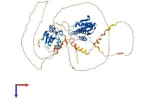 AlphaFold protein structure predicition of Human Recombinant DUSP8 Protein, UniprotID Q13202