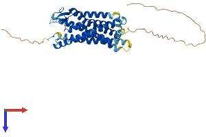 Apelin Receptor (APLNR) (AA 1-377) protein (His tag)