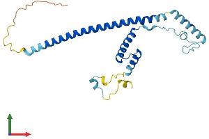 AlphaFold protein structure predicition of Mouse Recombinant Fam228b Protein, UniprotID Q497Q6