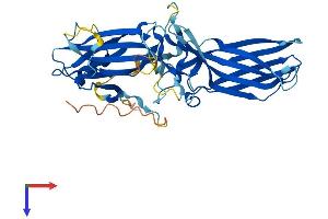 AlphaFold protein structure predicition of Mouse Recombinant Sag Protein, UniprotID P20443