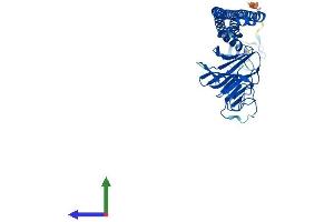 AlphaFold protein structure predicition of Human Recombinant BSPRY Protein, UniprotID Q5W0U4