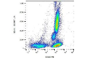 Surface staining of human peripheral blood with anti-CD43 (MEM-59) PE.