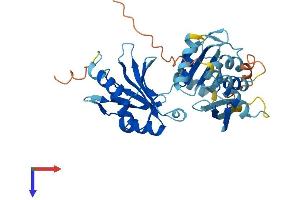 AlphaFold protein structure predicition of Mouse Recombinant Dnd1 Protein, UniprotID Q6VY05