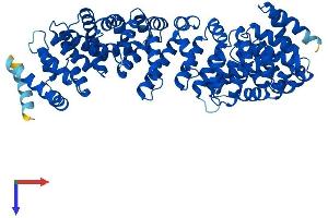 AlphaFold protein structure predicition of Human Recombinant RAP1GDS1 Protein, UniprotID P52306