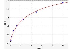 Typical standard curve (STX1A Kit ELISA)
