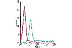 Cell surface detection of ADORA2A in live intact human Jurkat T-cell leukemia cells: (black line) Cells.