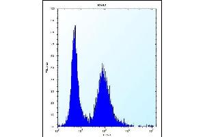 MEIG1 Antibody (Center) (ABIN656380 and ABIN2845675) flow cytometric analysis of K562 cells (right histogram) compared to a negative control cell (left histogram).