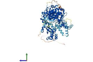 AlphaFold protein structure predicition of Human Recombinant ACSBG1 Protein, UniprotID Q96GR2