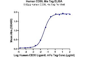 Immobilized Human CD30, His Tag at 0.
