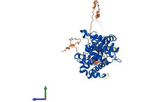AlphaFold protein structure predicition of Human Recombinant CCNB2 Protein, UniprotID O95067