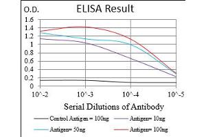 Fig. (MLANA anticorps  (AA 48-118))
