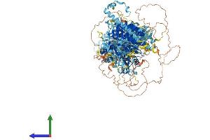 AlphaFold protein structure predicition of Mouse Recombinant Ralgapb Protein, UniprotID Q8BQZ4
