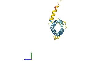 AlphaFold protein structure predicition of Mouse Recombinant Plp2 Protein, UniprotID Q9R1Q7