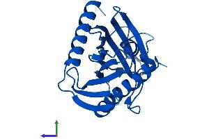 AlphaFold protein structure predicition of Human Recombinant STARD5 Protein, UniprotID Q9NSY2